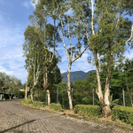 View depan