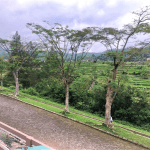 View depan